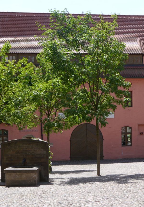 Cranachhof Markt Wittenberg